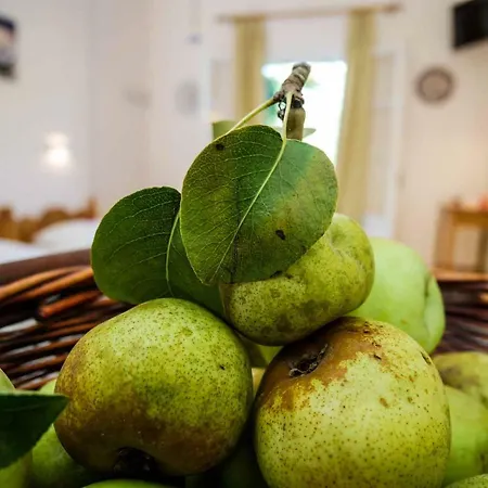 Prázdninový dům Yiannis Agios Georgios Pagoi Corfu